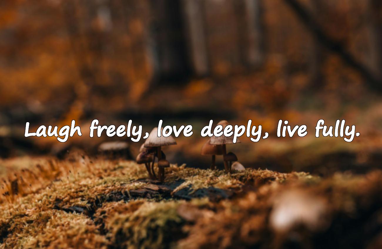 Happiness Inspirational Quotes