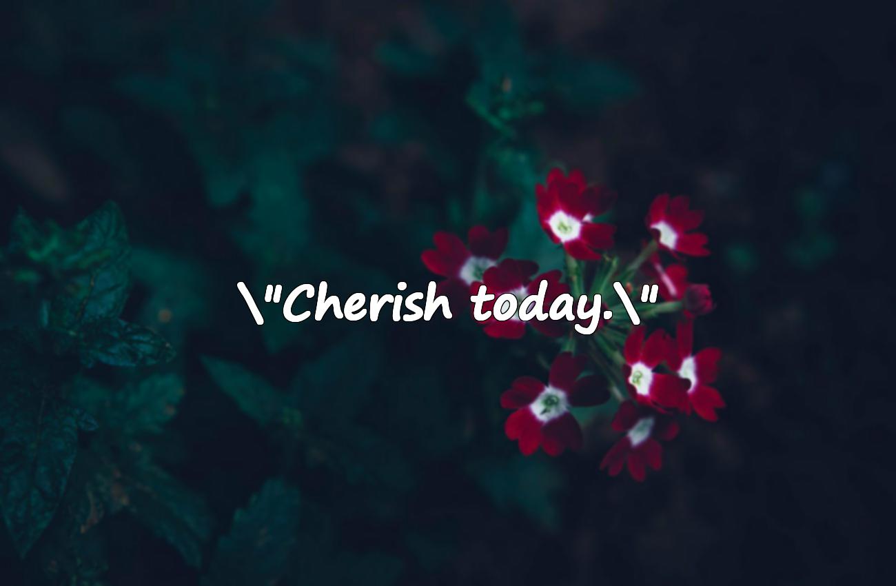 happiness quotes short