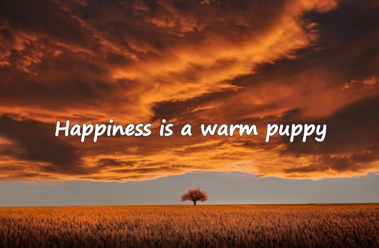 happy motivational quotes