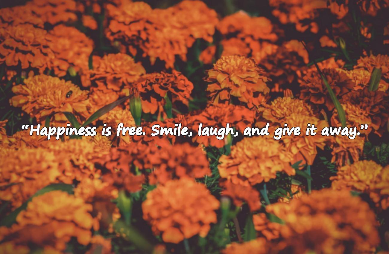 happy positive quotes