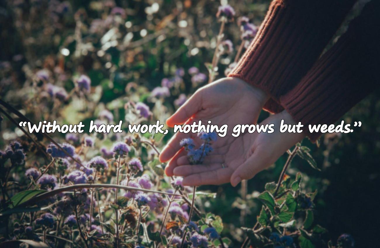 hard work quotes 2026