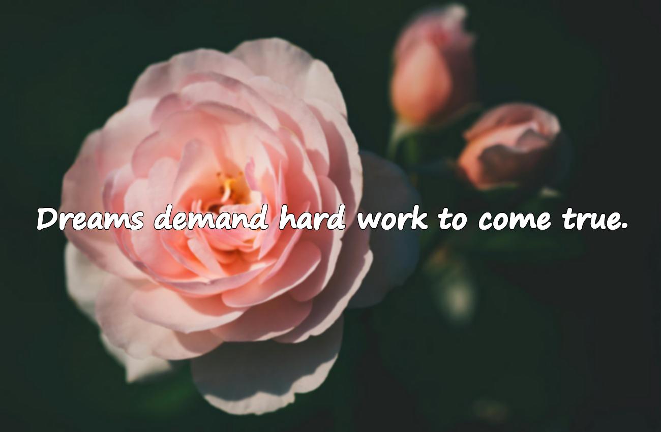 hard work quotes