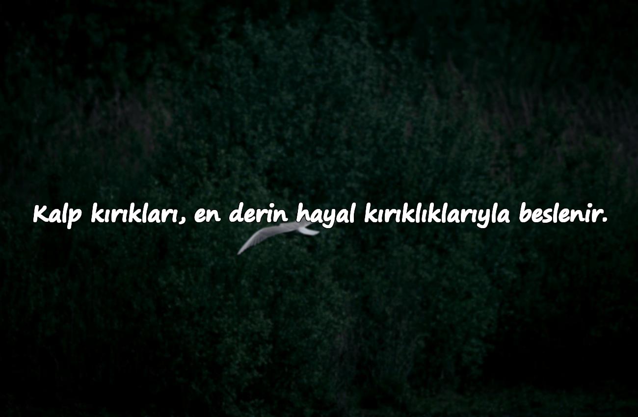 hayal kırıklığı ile ilgili sözler