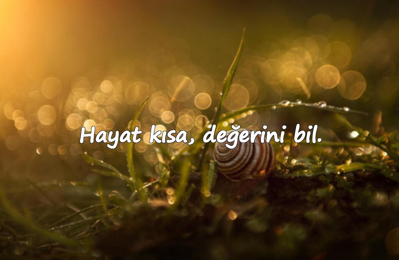 hayat sözleri