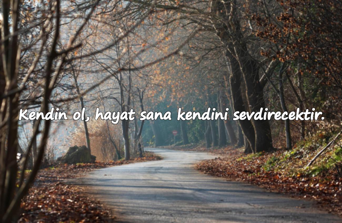 hayata dair sözler