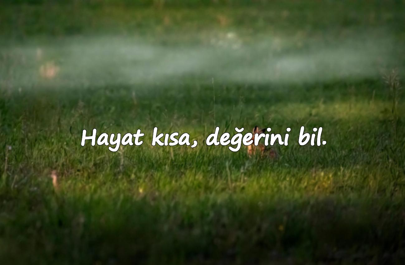 hayata dair sözler