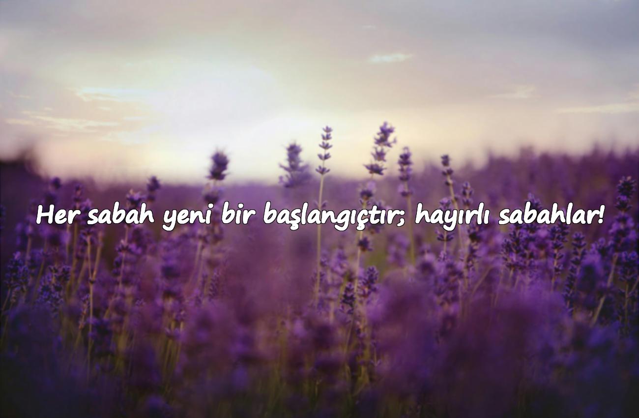 hayırlı sabahlar mesajları