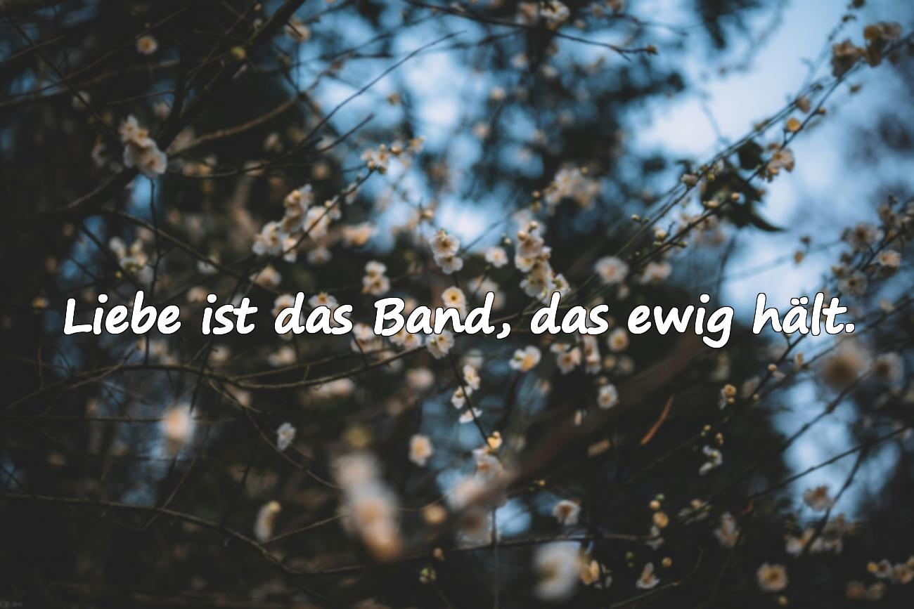 hochzeitsbuch sprüche