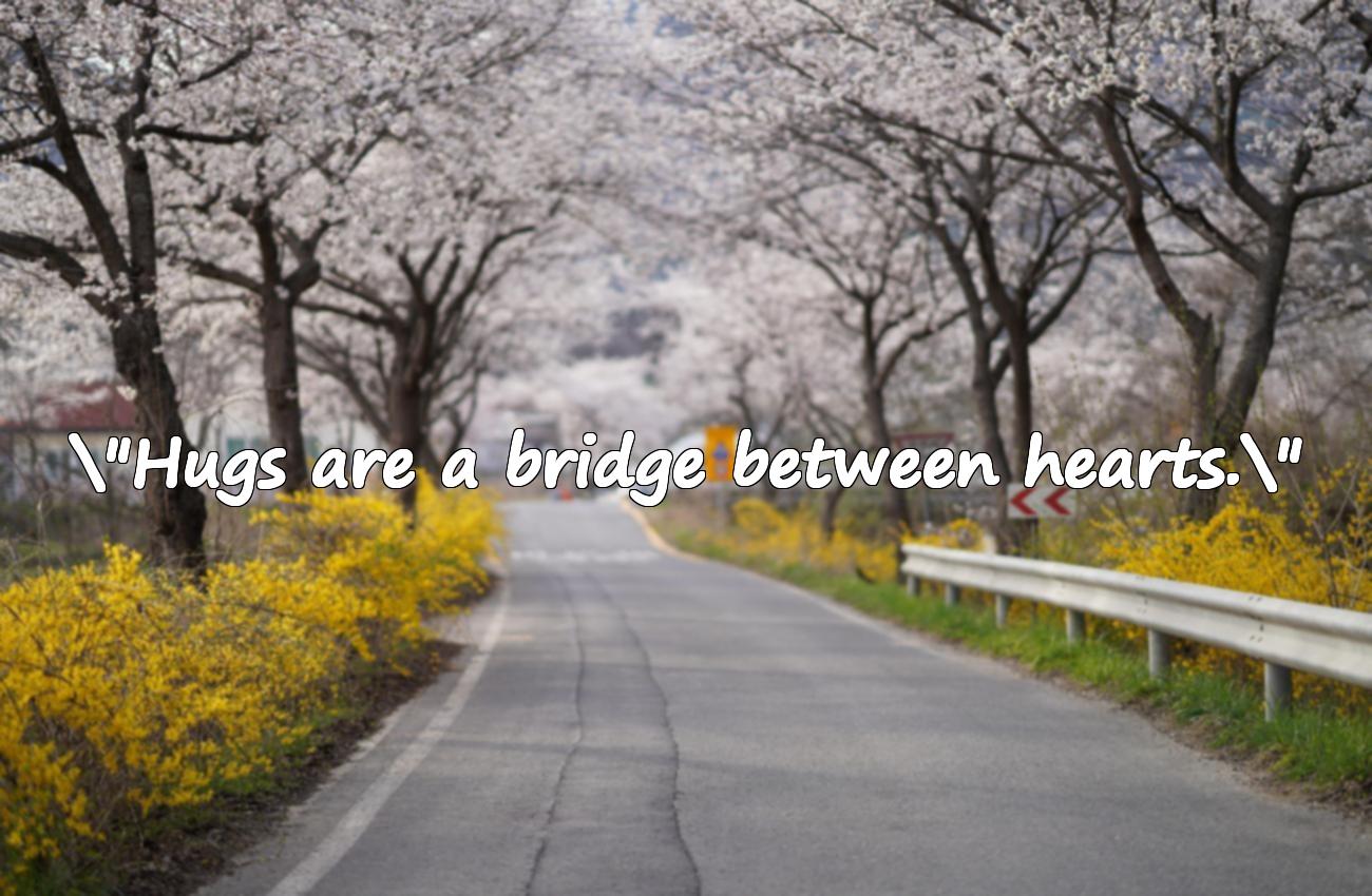 hug quotes