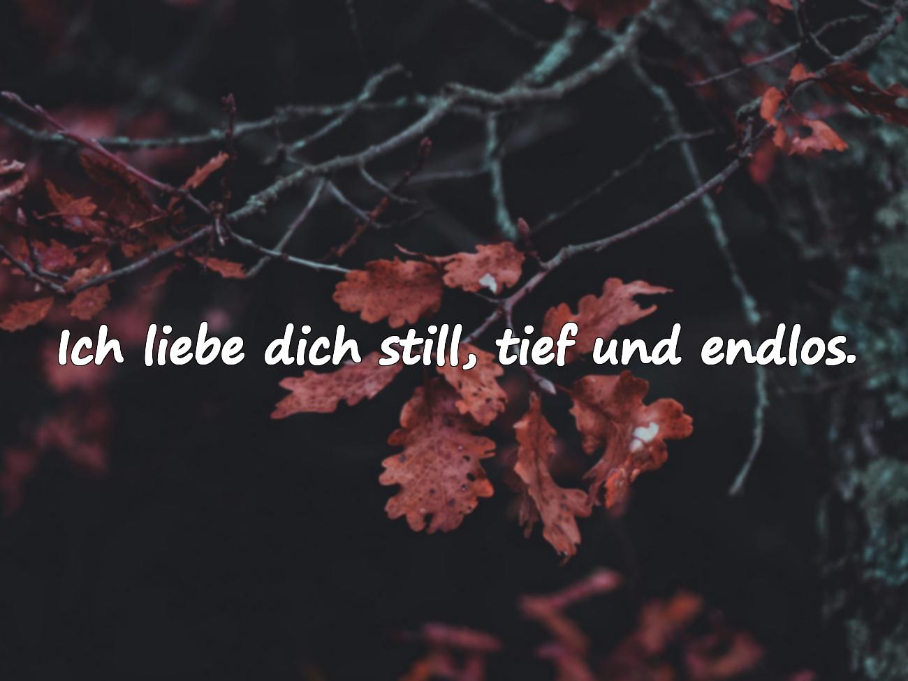 Ich liebe dich Sprüche