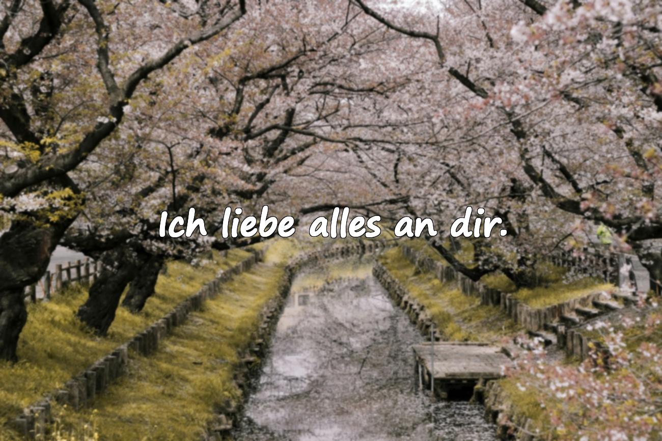 Ich liebe dich Sprüche