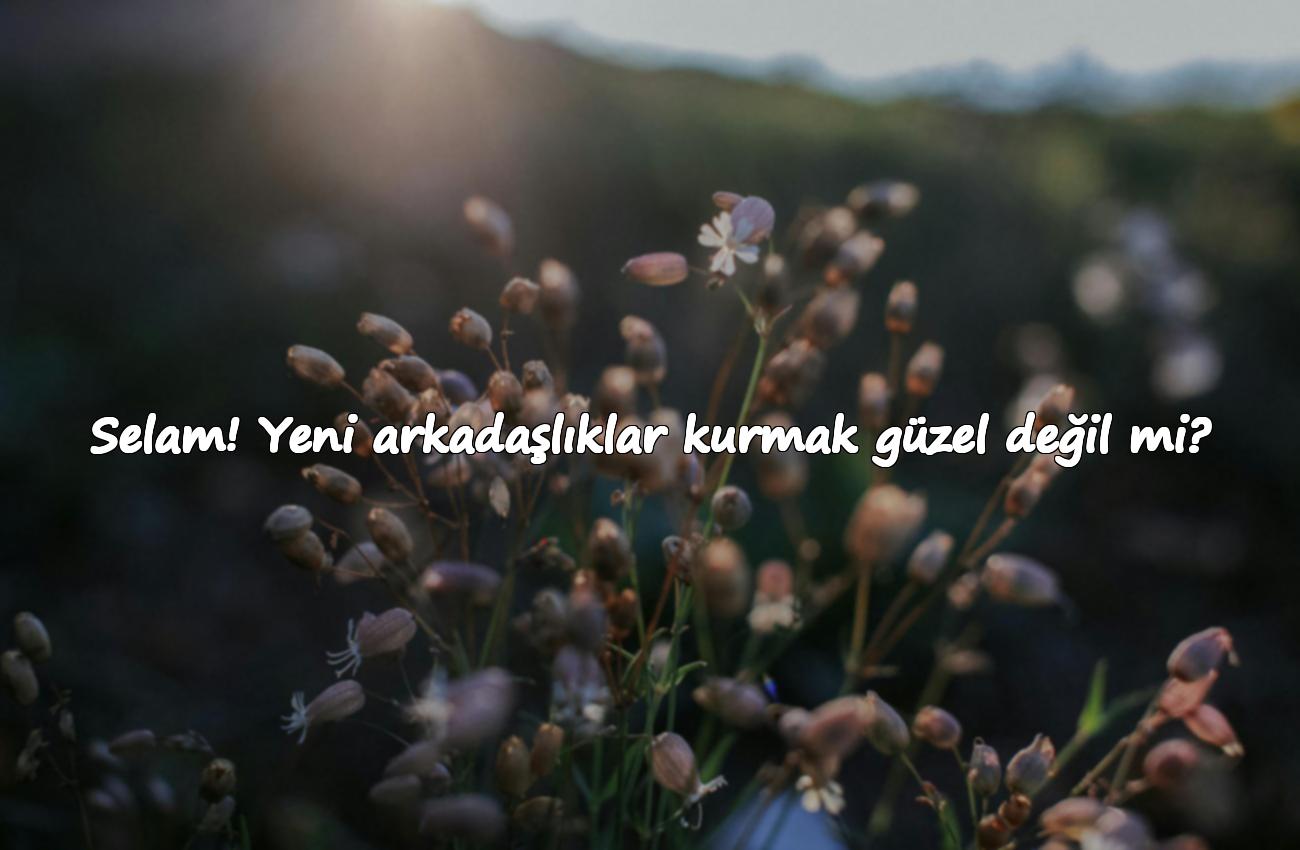 ilk tanışma mesajı