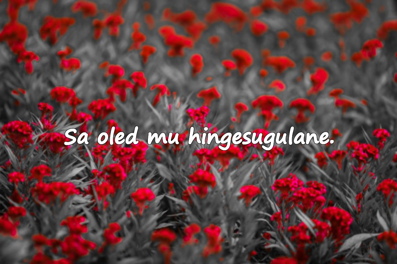 ilusad sõnad kallimale