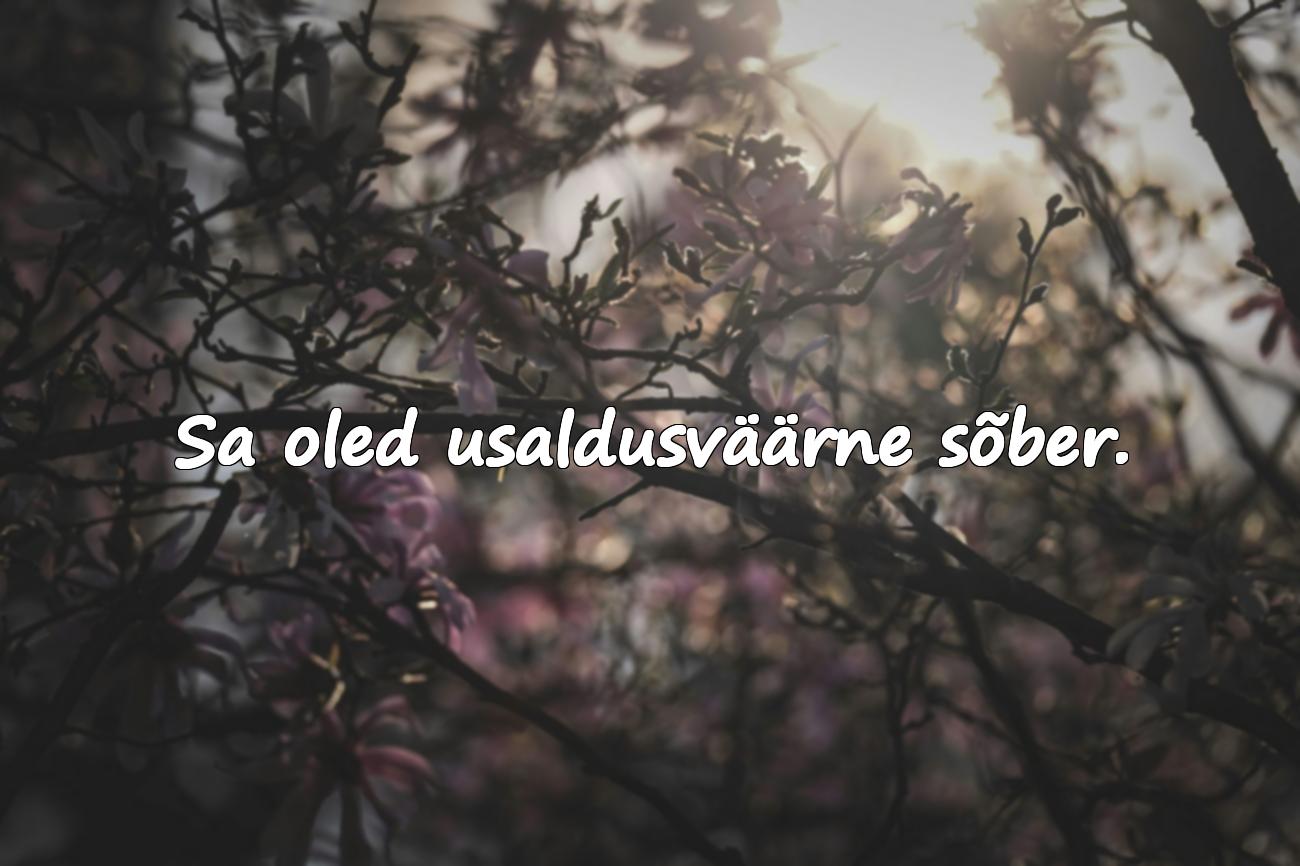 ilusad sõnad sõbrale