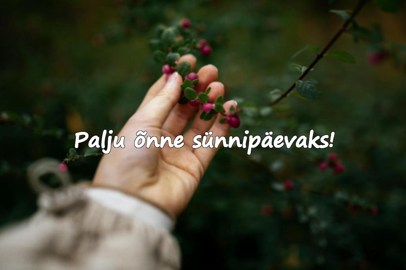 ilusad sõnad sünnipäevaks