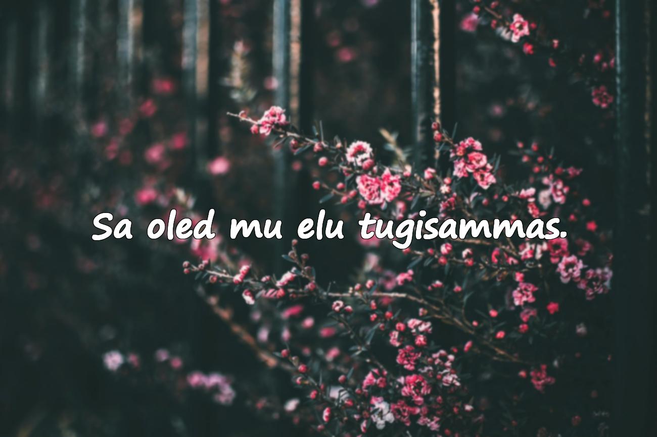 ilusad sõnad sünnipäevaks isale