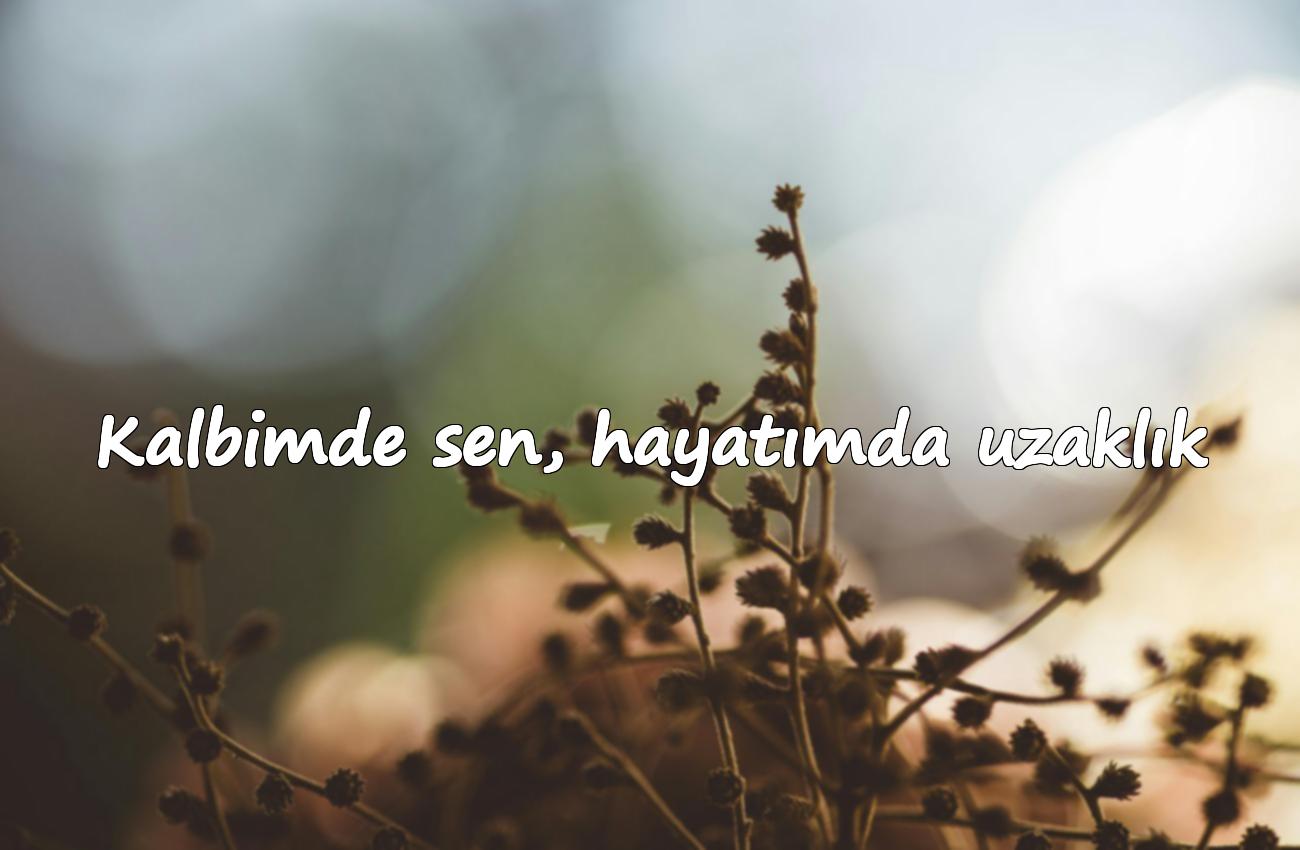 imkansız aşk sözleri