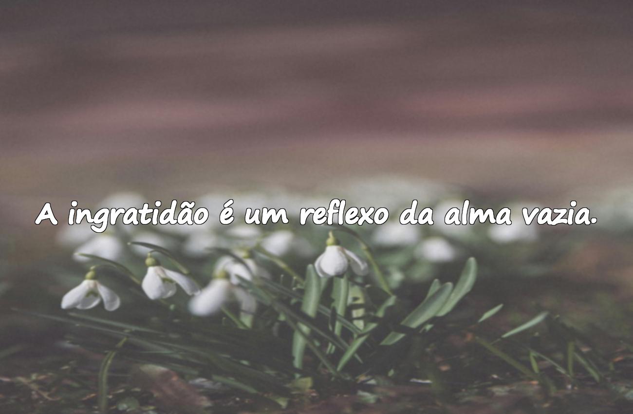 ingratidão frases