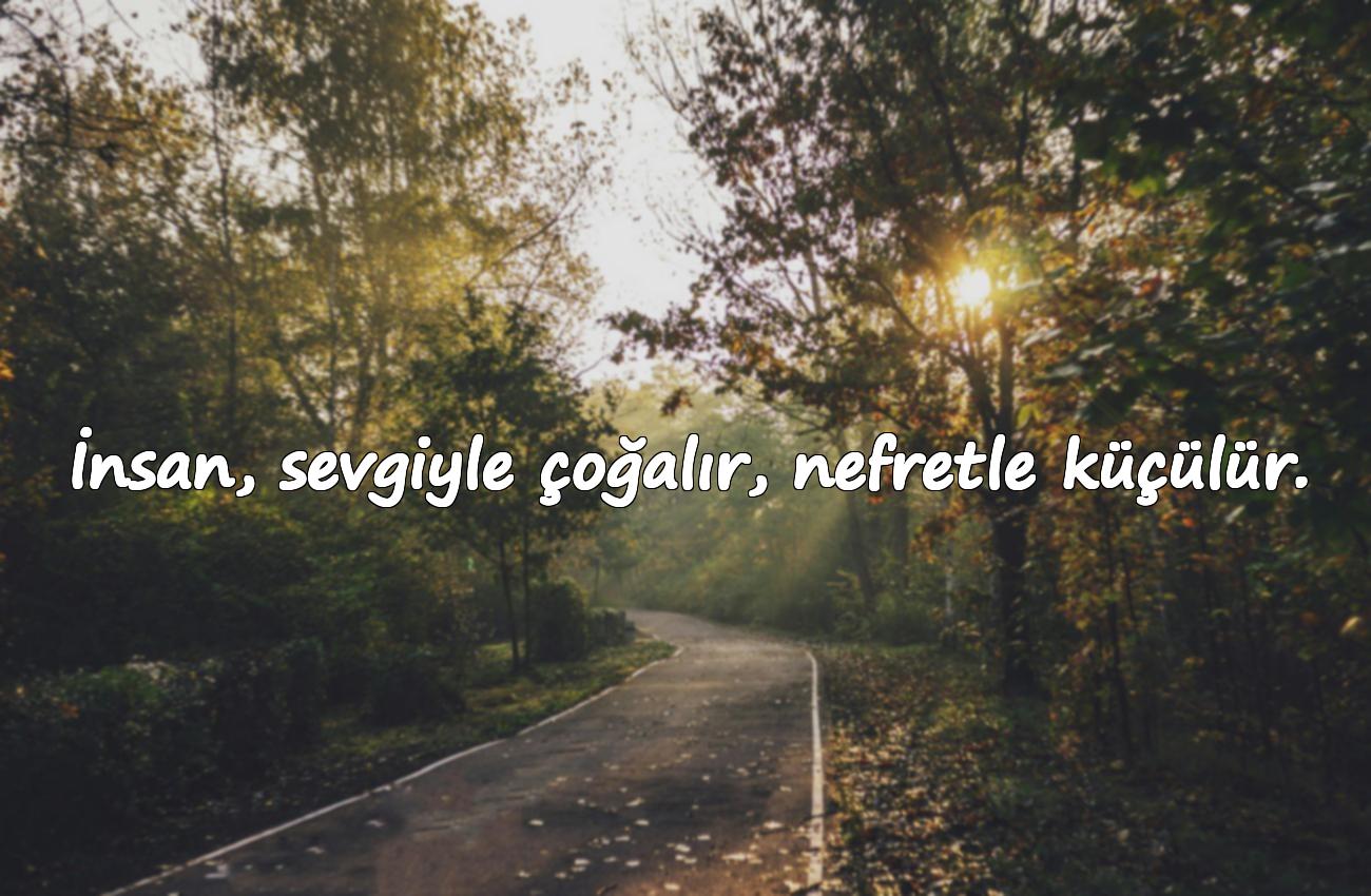 insan ile ilgili sözler