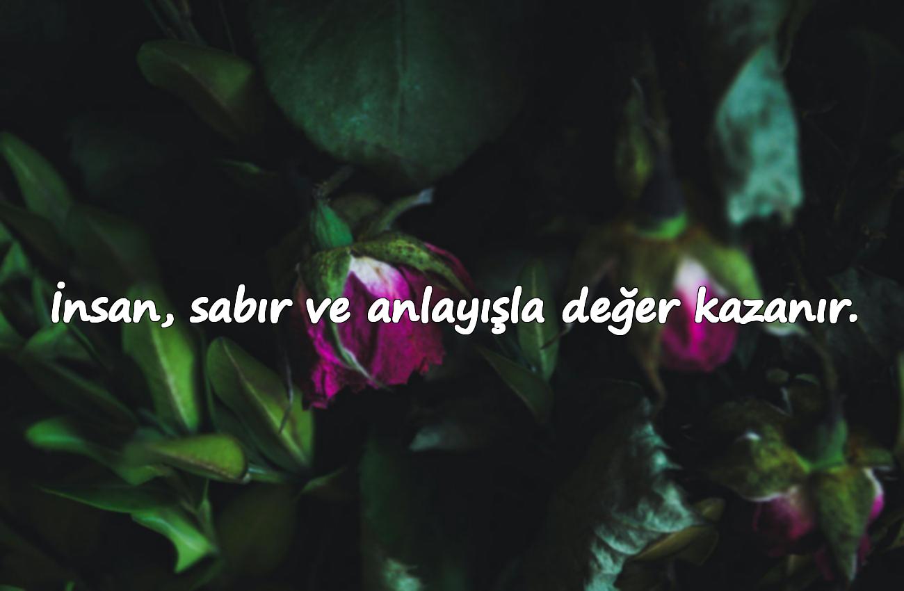 insan ile ilgili sözler