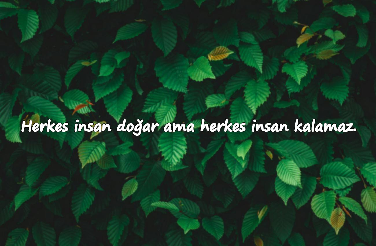 insanlık sözleri