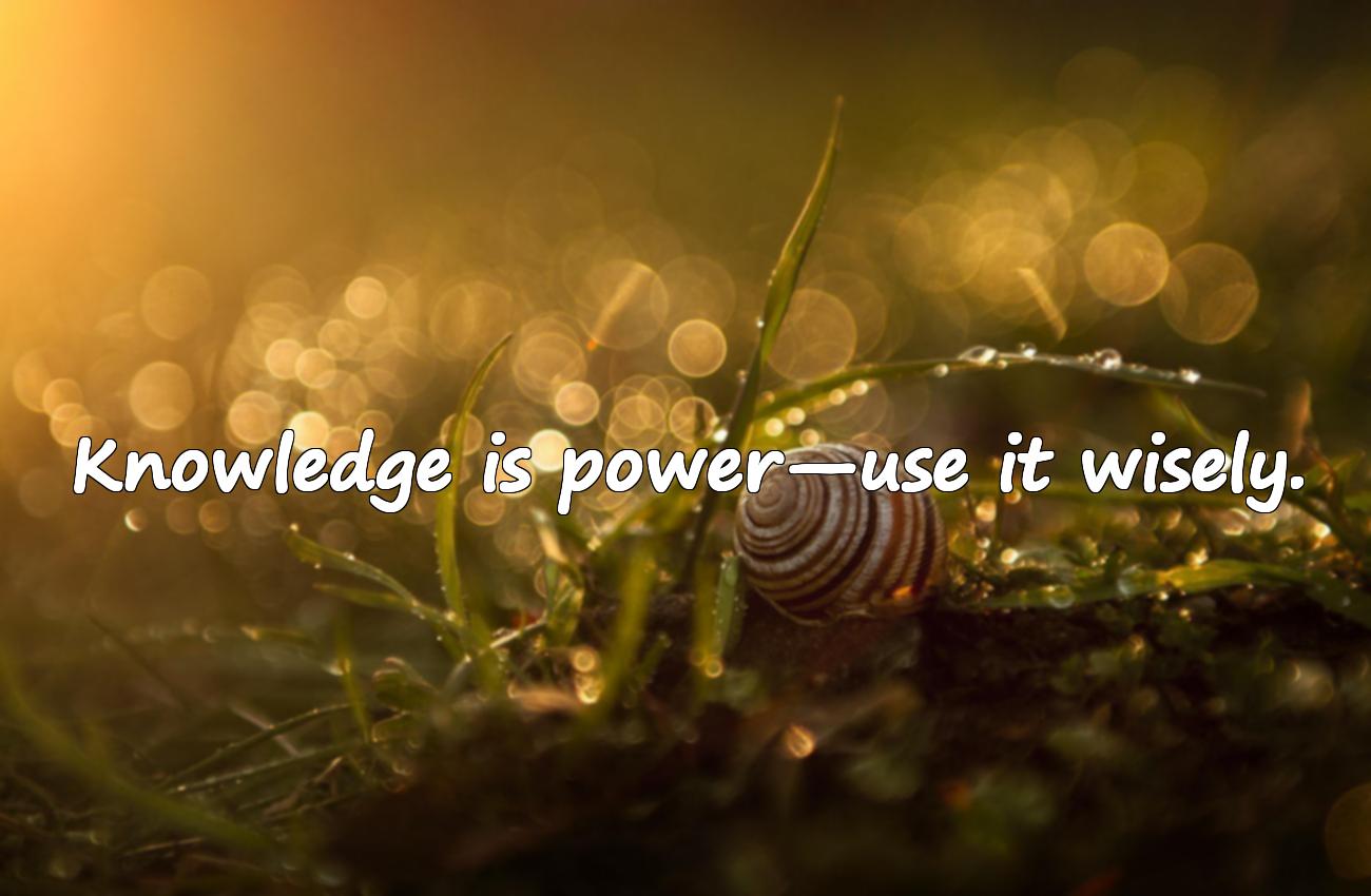 inspirational quotes for students