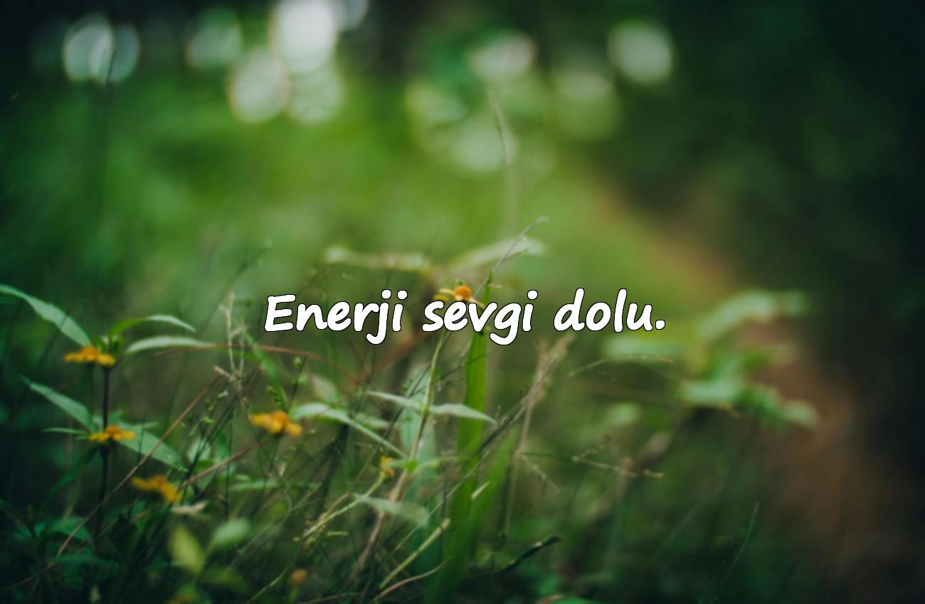 instagram biyografi sözleri