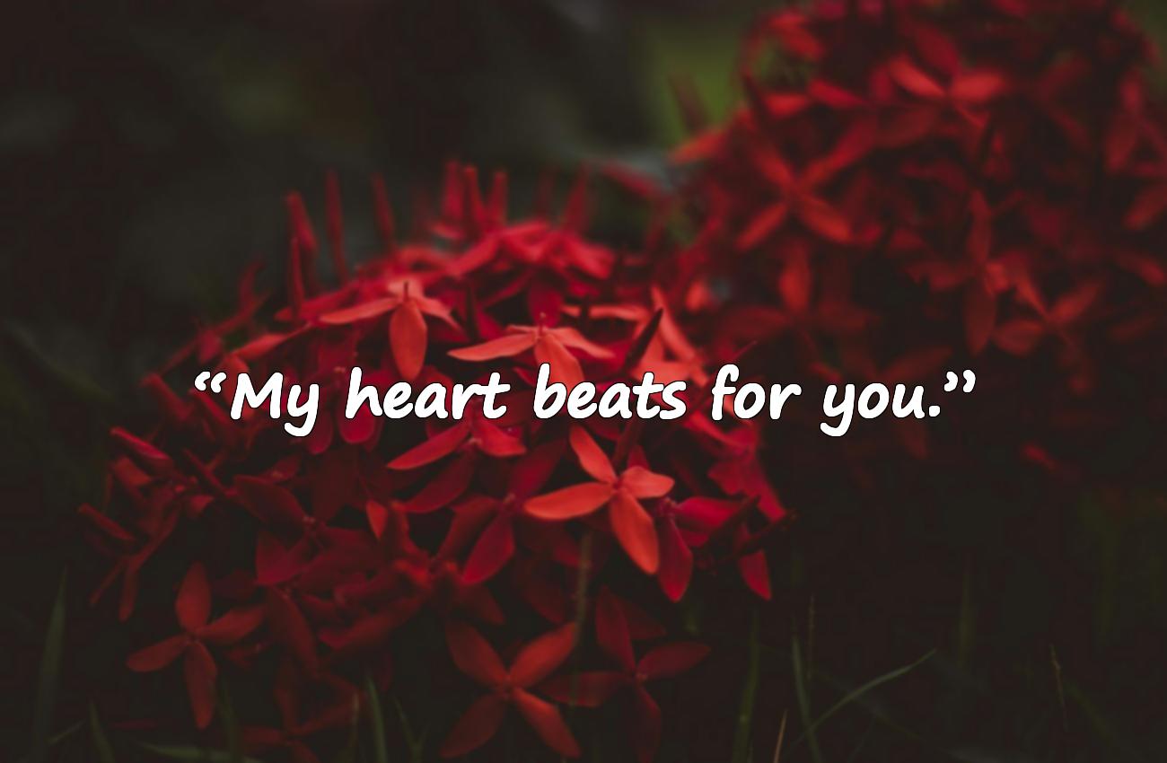 instagram captions love