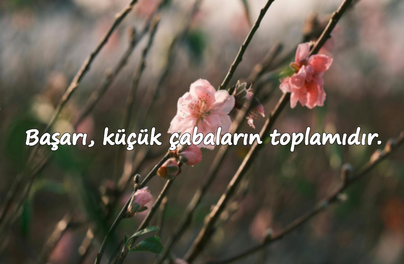 işle ilgili sözler