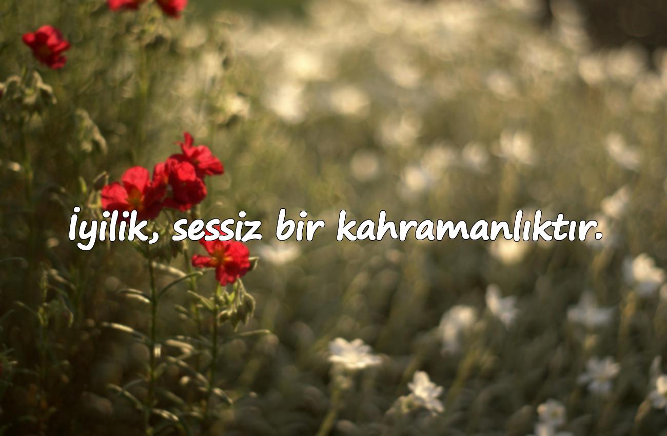 iyilik ile ilgili sözler