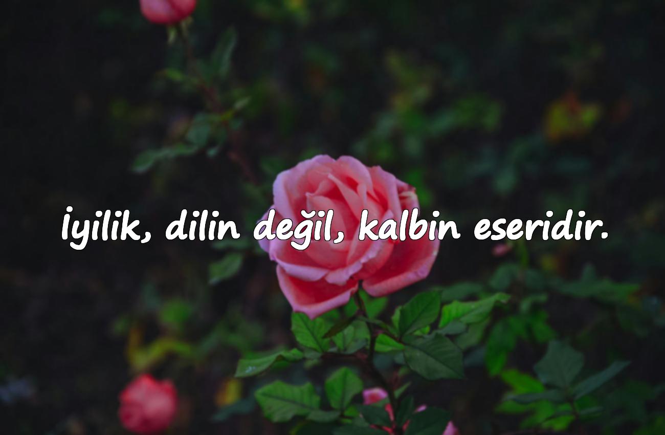 iyilikle ilgili sözler