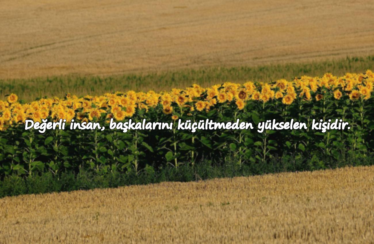 kaliteli insan sözleri