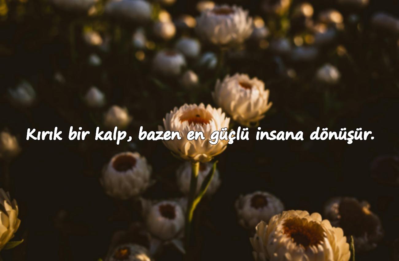 kalp ile ilgili sözler