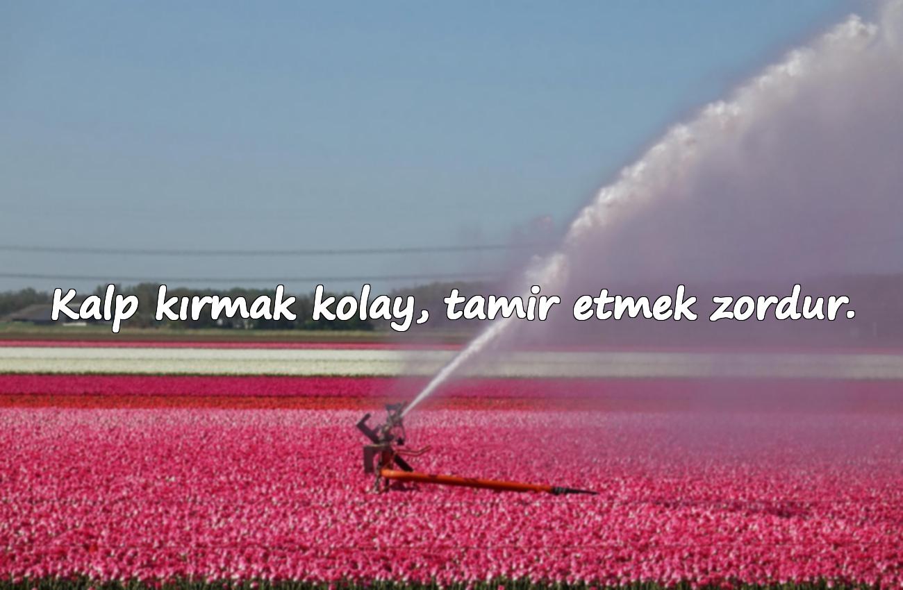 kalp ile ilgili sözler