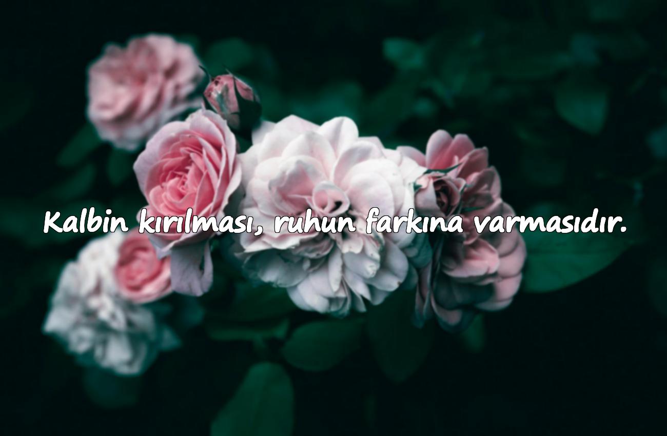 kalp kırıklığı sözleri