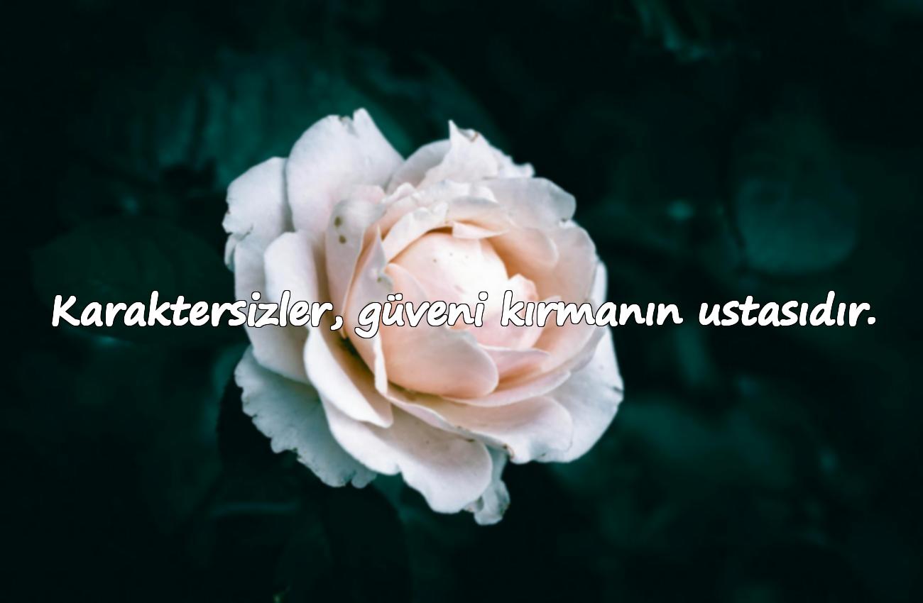 karaktersiz sözleri