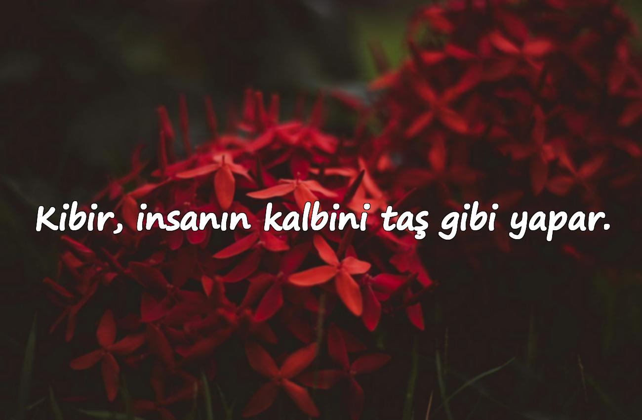 kibir ile ilgili sözler