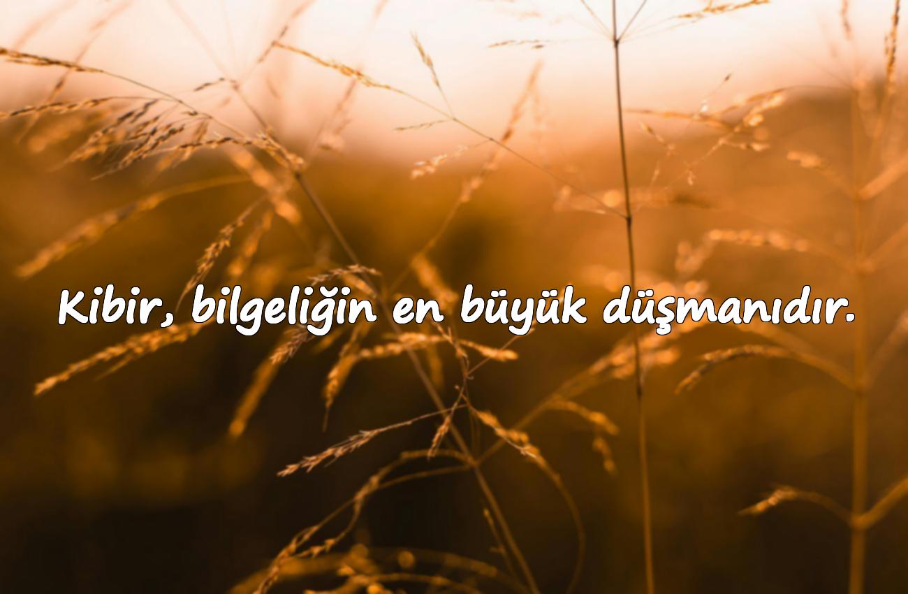 kibir ile ilgili sözler