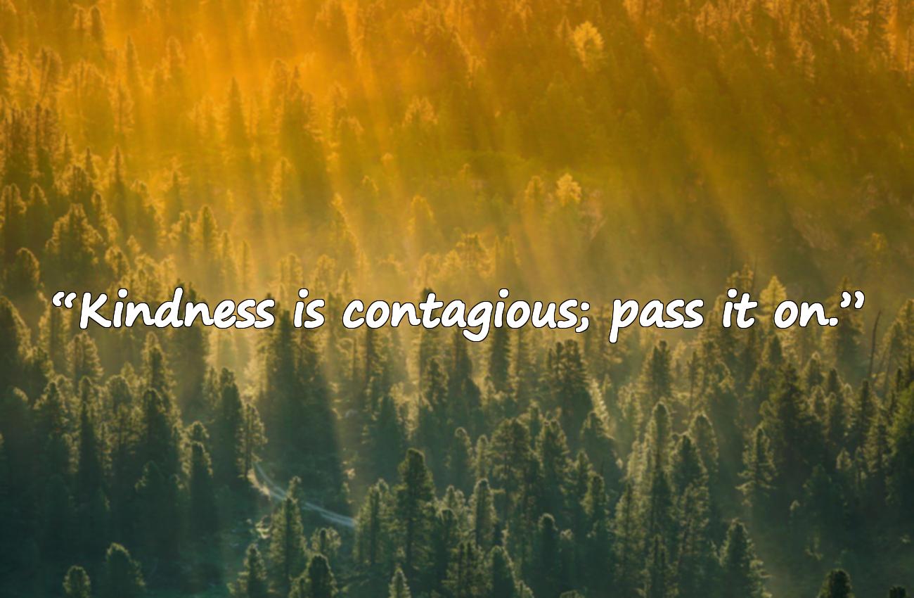 kindness quotes
