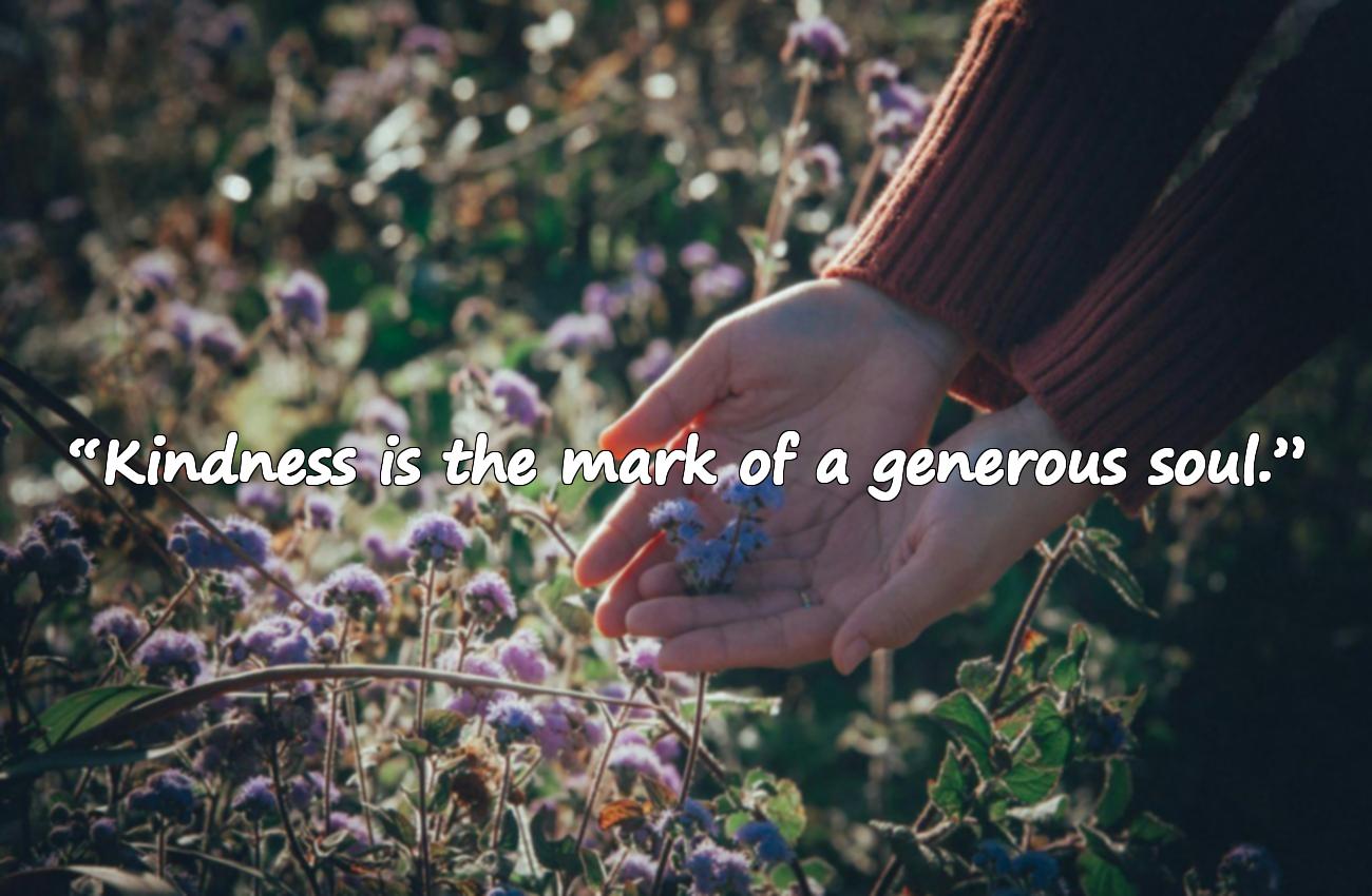 kindness quotes