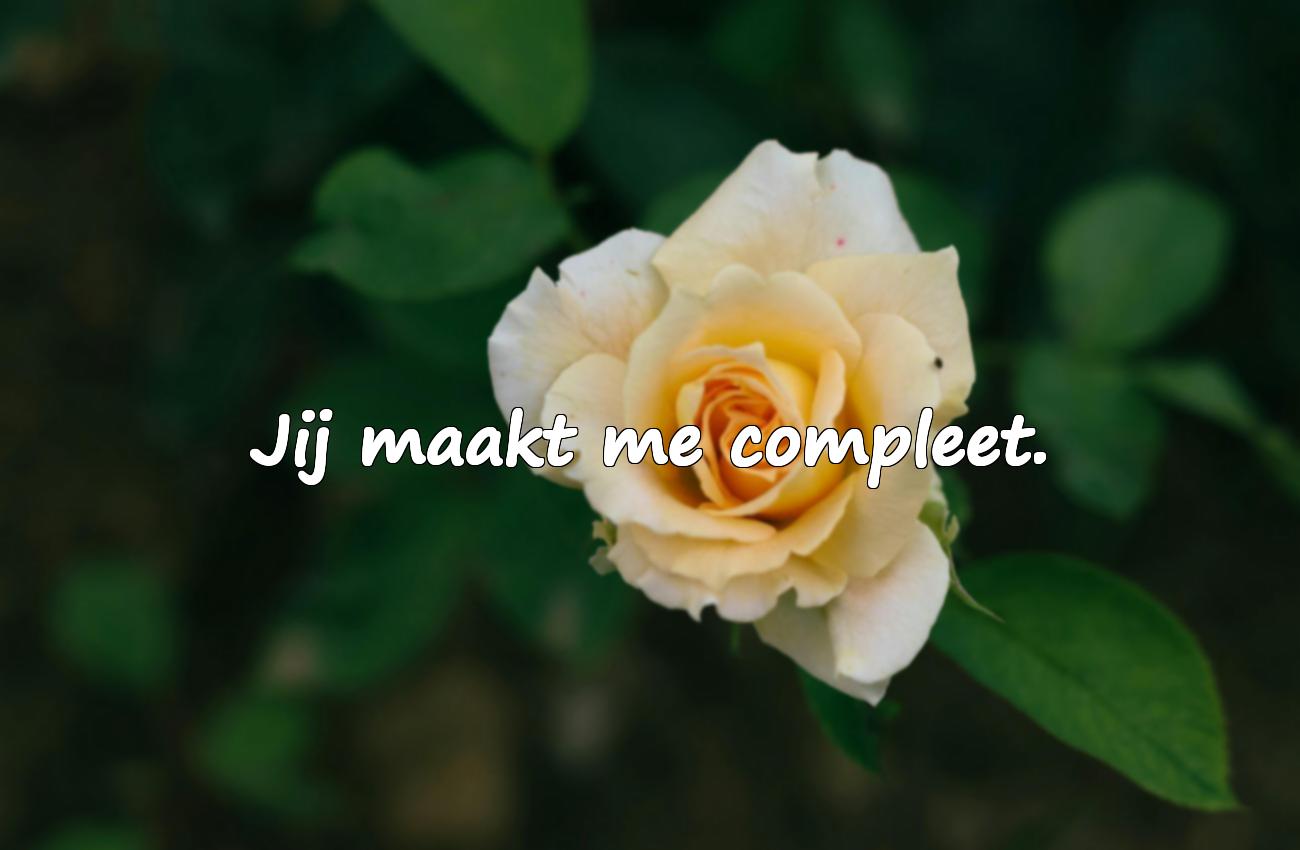 korte quotes liefde