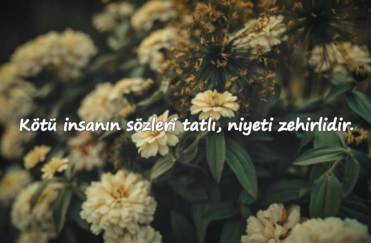 kötü insanlara sözler TR