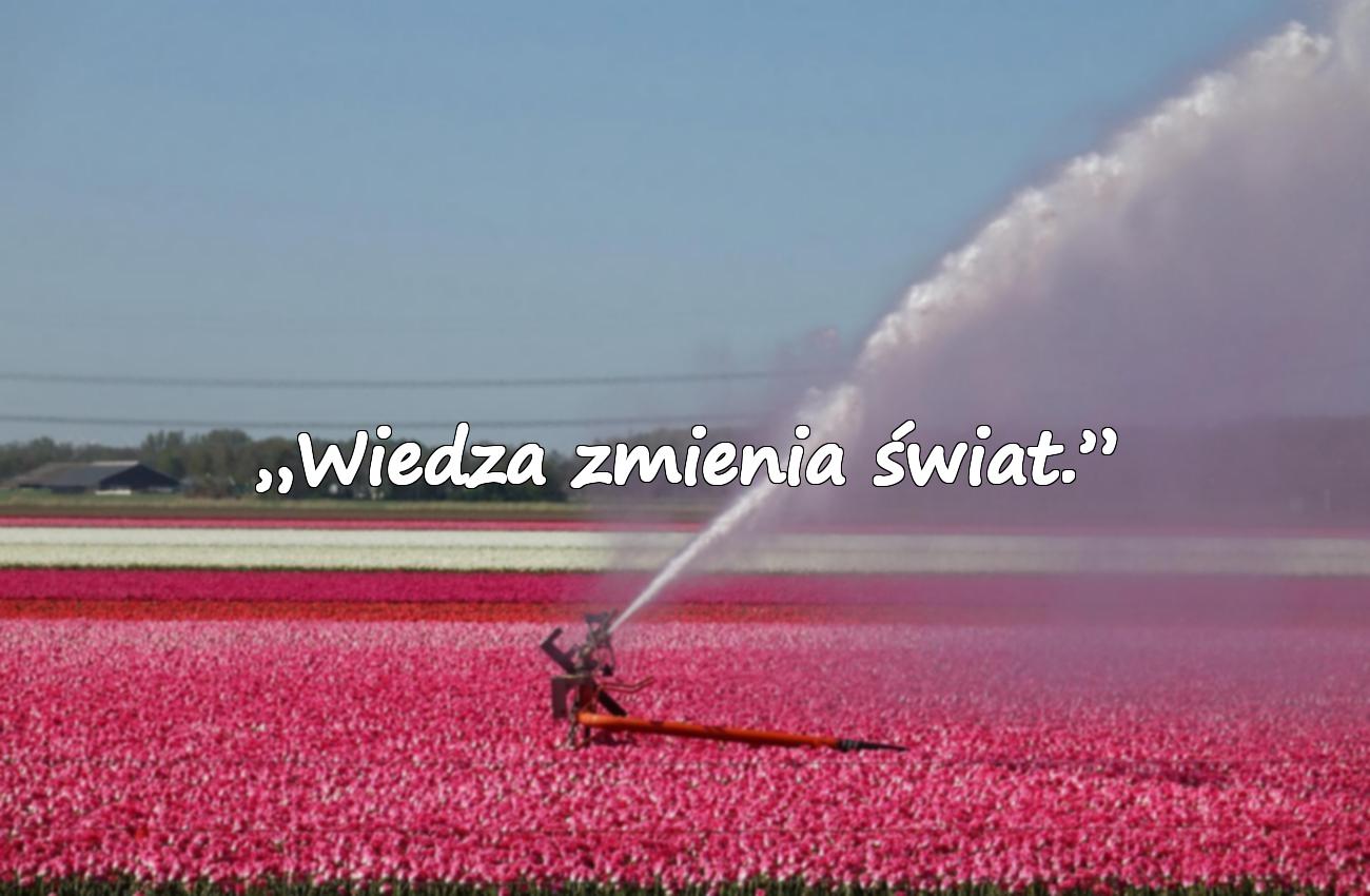 krótkie cytaty o szkole