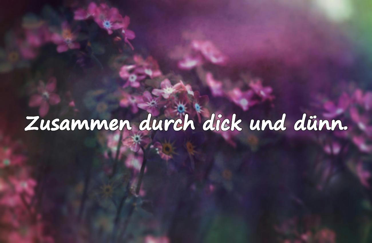 kurze hochzeitssprüche