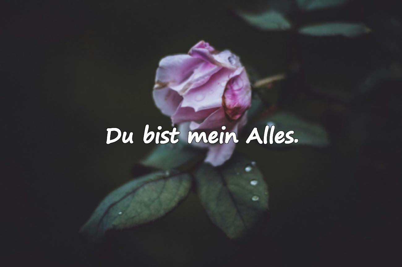 Kurzer Liebesspruch