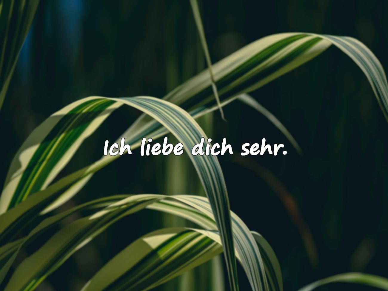 Kurzer Liebesspruch