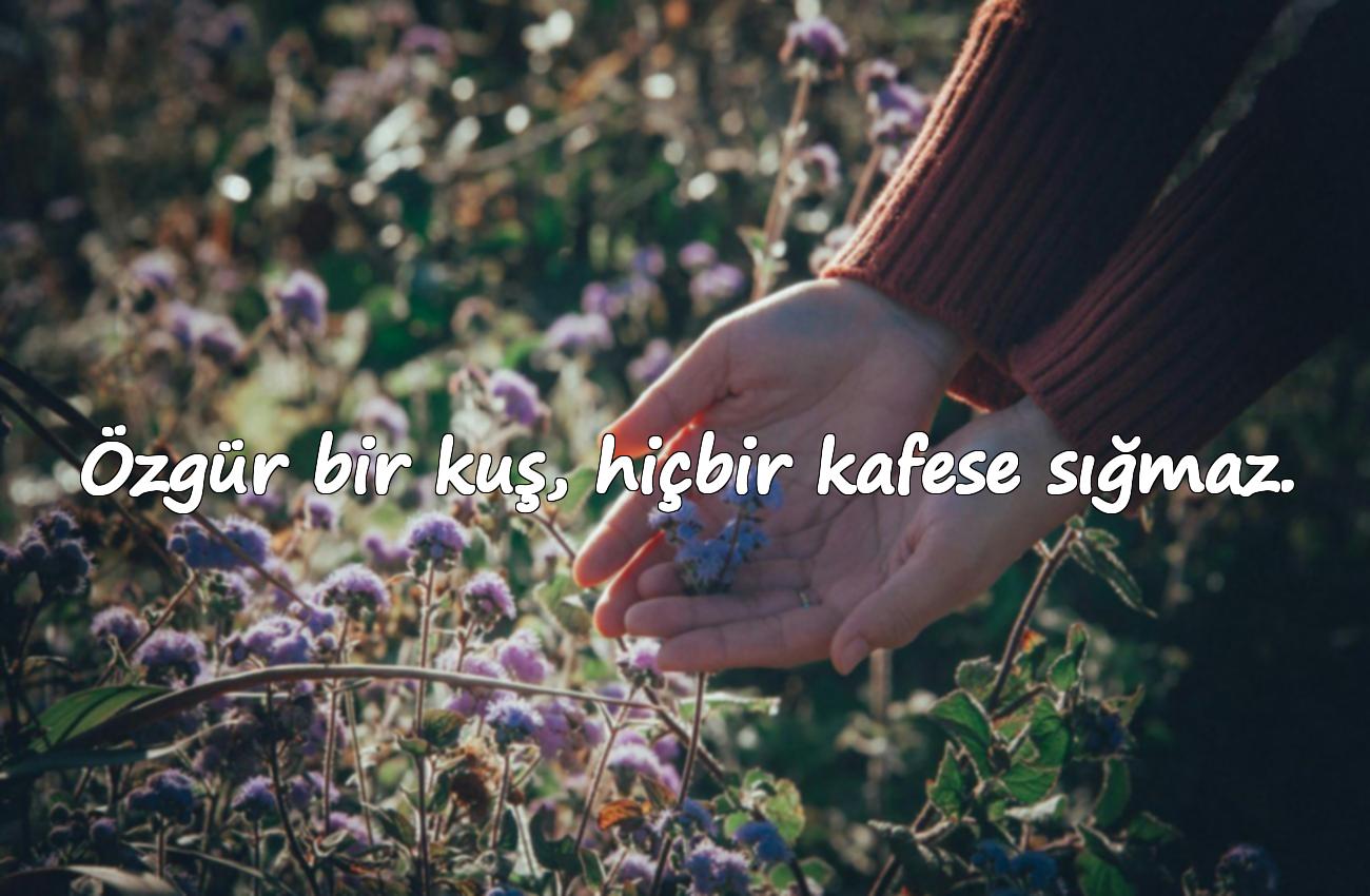 kuşlarla ilgili sözler