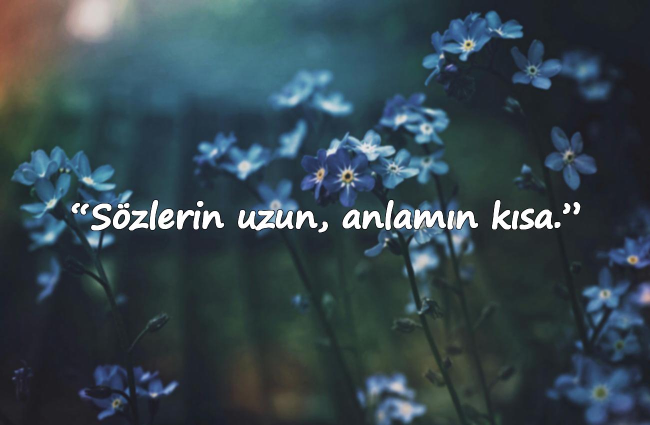 laf sokucu sözler tr