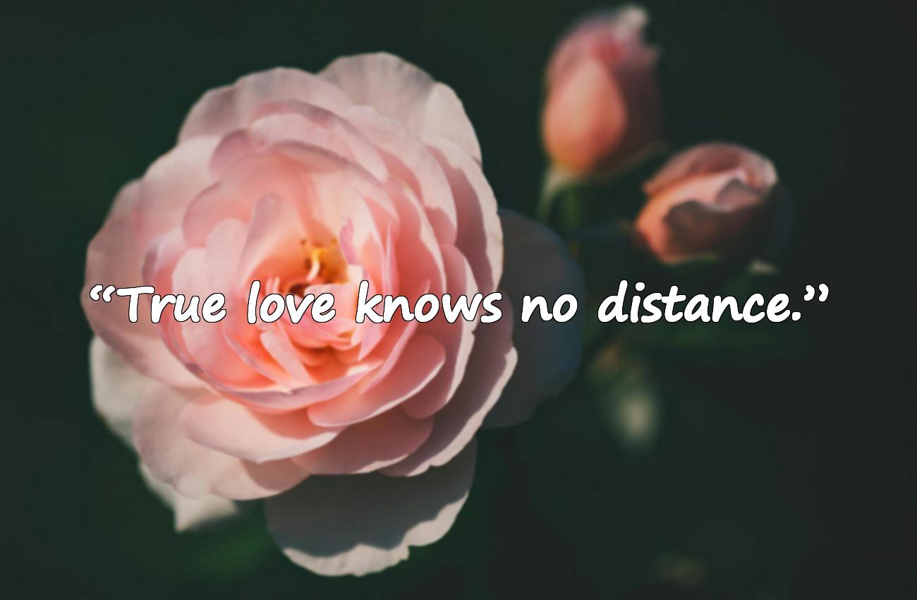 ldr quotes