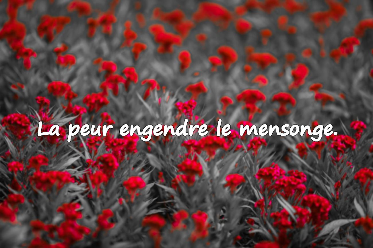 Le Mensonge Citations